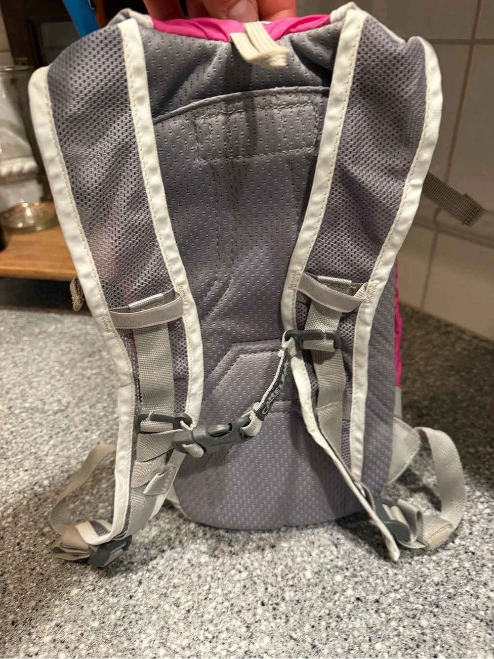CamelBak Pink and Gray kids Hydration Backpack with Bladder